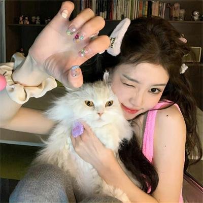 熊猫月亮